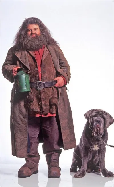 Quel est le premier sorcier que Harry rencontre ?