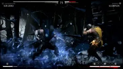 Quel est le nom de ce jeu vidéo ?