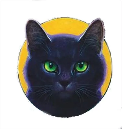 Si vous étiez un chat , vous préféreriez manger ...