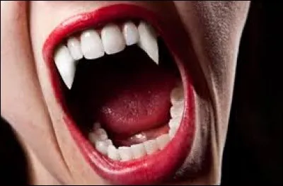 Conjuguez le verbe à la première personne au présent de l'indicatif.