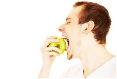 Un peu de passé composé, à la 3e personne cette fois-ci.