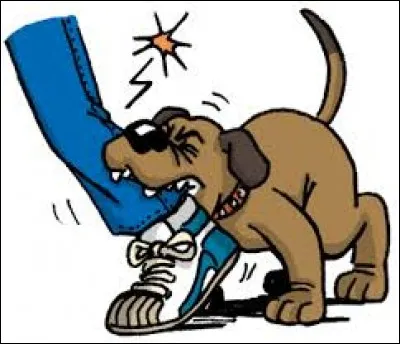 Qu'est-ce que ça donne avec le futur antérieur ?