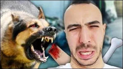 Revenons à du subjonctif passé.