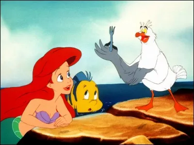 Retrouvez l'auteur de "La Petite Sirène" !