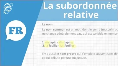 Qu'est-ce qu'une proposition subordonnée relative ?
