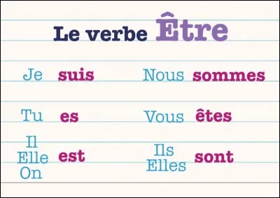 Dans la phrase "Visiter des pays exotiques, lointains et peu connus serait une activité qui lui plairait.", le verbe "serait" est-il correctement conjugué ?