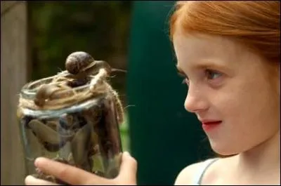 Comment s'appelle ces animaux avec une coquille ?