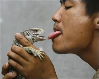 Comment s'appelle cet animal qui tire la langue ?