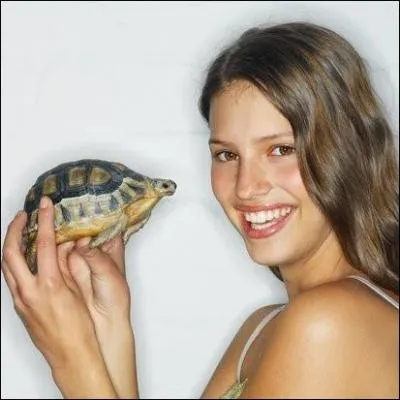 Comment s'appelle cet animal dans les mains de la fille ?