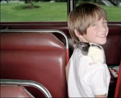 Comment s'appelle cet animal sur l'paule du petit garon ?