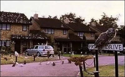 Pourquoi l'oncle Vernon veut-il déménager du 4 Privet Drive ?