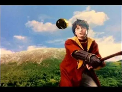 Comment Harry Potter attrape-t-il le Vif d'or lors du match Serpentard contre Gryffondor ?