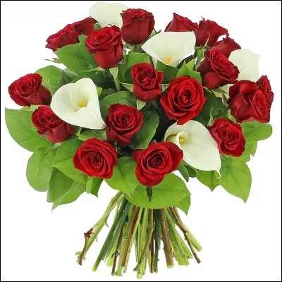 À qui appartiennent les fleurs ?