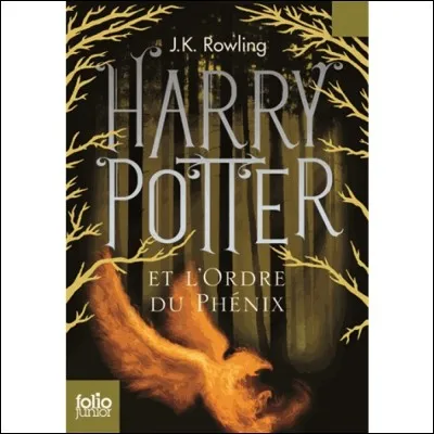 Commençons les DVD de Harry Potter : quel est le n°5 ?