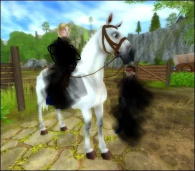 De quelle couleur est l'équipe des Bobcats ?