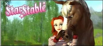 A quel niveau s'arrête les noms stars riders ?