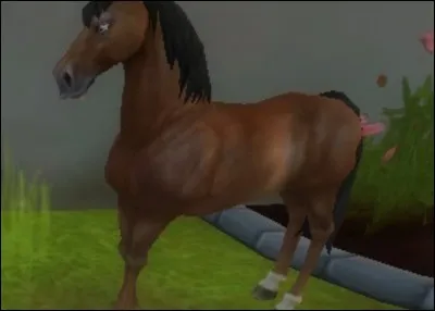 Quel est le cheval de départ ?