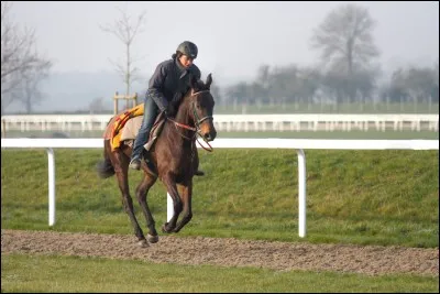 Pour le départ au galop il faut ...