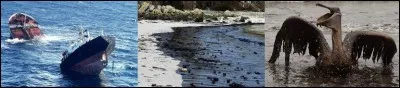 Cette année-là, l'Amoco Cadiz souillait les côtes bretonnes...