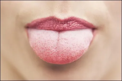 Qu'est-ce qui manque au mot "lan ......", qui est une partie du corps ?