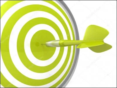 Quel est l'objectif de ce jeu vidéo ?