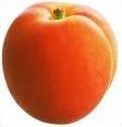 Quiz Fruits