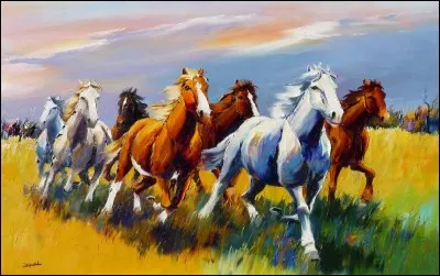 La Magic Brush convient-elle à tous les équidés ?