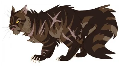 Quel chef des clans de la forêt s'est allié à Étoile du Tigre pour former le clan du Tigre ?