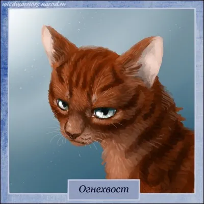 Papillon (guérisseuse du clan de la Rivière) croit-elle au clan des Étoiles ?