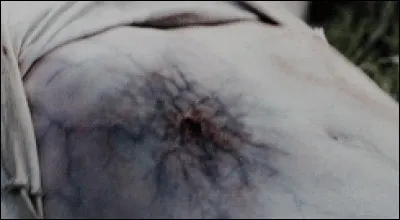 Comment s'appelle le virus qui menace toutes vies sur Terre ?