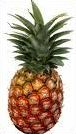 Quiz Fruits