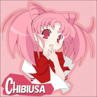 Quel est le nom entier de Chibiusa ? (en japonais)
