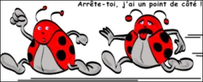 Quel oiseau est l'intrus ?