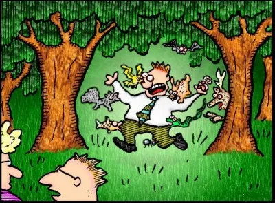 Tu te promènes dans la forêt. Que ne devrais-tu pas voir ?