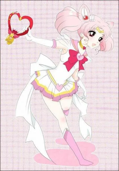 Sailor Chibi Moon tient un objet dans la main. Quel est son nom et  quoi sert-il ?