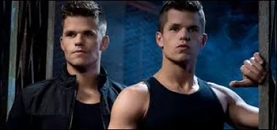 Comment s'appellent les jumeaux ?