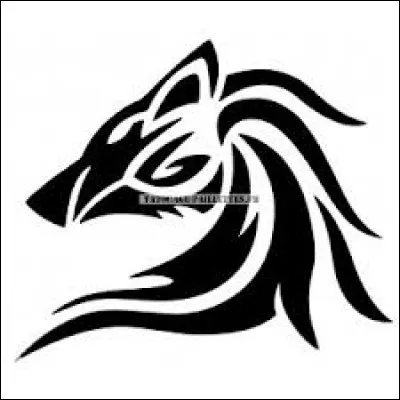 Qu'est-ce que Derek a de tatoué dans le dos ?