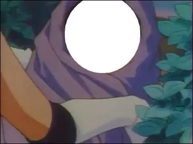 Dans l'anime, elle va chercher un bb qu'elle dcide d'lever. Qui est-ce ?