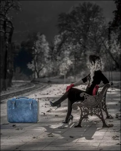 Qui chantait "Je reviens te chercher, je savais que tu m'attendais" ?