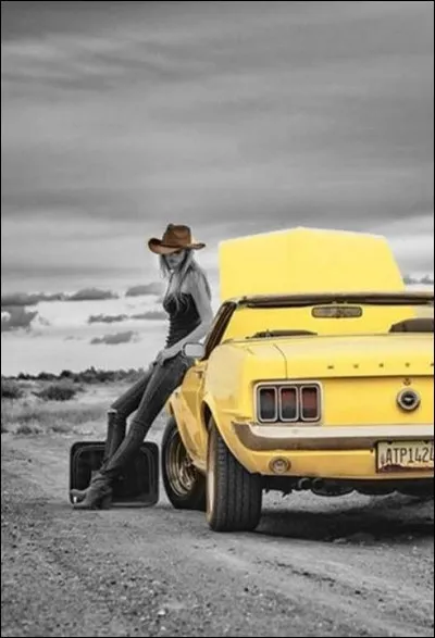 Qu'allez-vous dire si soudain, vous vous rappelez de la chanson précédente ?