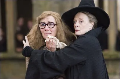 Dans l'une des cours de l'école de magie de Poudlard, en Ecosse, deux professeurs qui sont Sybil Trelawney et Minerva MacDonagall jettent un regard peu emprunt de sympathie vers qui donc ?