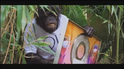 En quelle année ont-ils obtenu leur disque de diamant ?