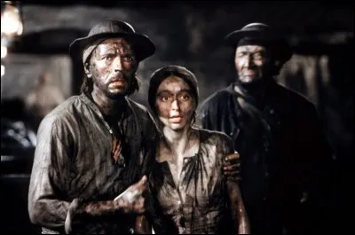 Gustave Flaubert a écrit "Germinal".