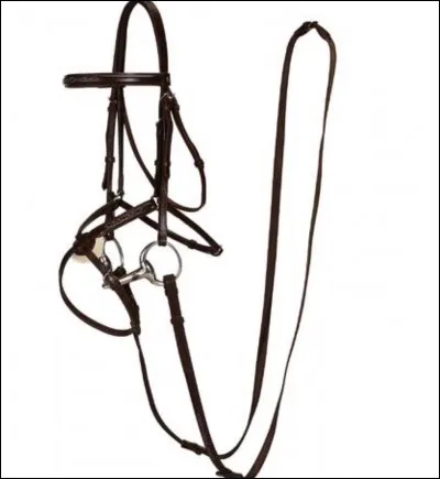 Quelle partie du filet n'existe pas?