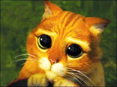 Oh, s'il-te-pla&icirc;t, ne fais pas tes yeux de chien battu. Bon, d'accord, tu auras une glace mais c'est impossible que je r&eacute;siste &agrave; ta bou... !