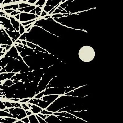 Le mot "FOOL" ne veut pas dire "fou", il signifie en fait... ?