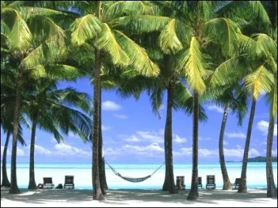 Le mot "VACANCY" ne signifie pas du tout "Vacances", il veut dire en fait... ?