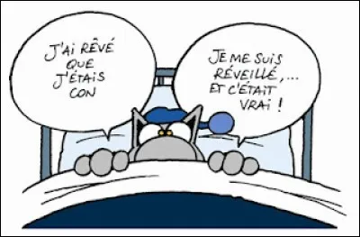 Le mot "EVIDENCE" ne signifie pas "évidence", c'est évident, mais il veut dire... ?