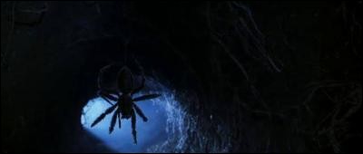 Imagine que tu te retrouves dans une pièce fermée où se trouvent des araignées, tu...