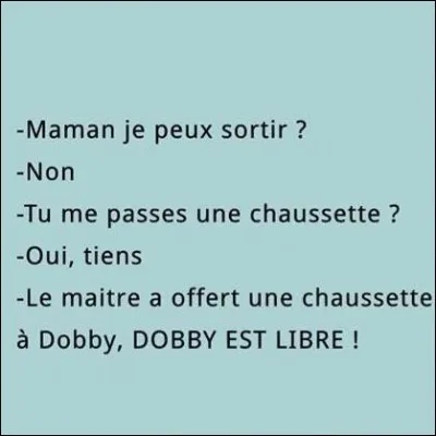 Voilà une amusante petite blague fondée sur la saga Harry Potter. Quelle en est l'origine ?